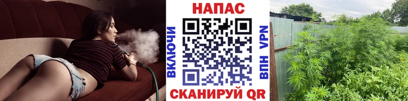 Каннабис White Widow  Арск 